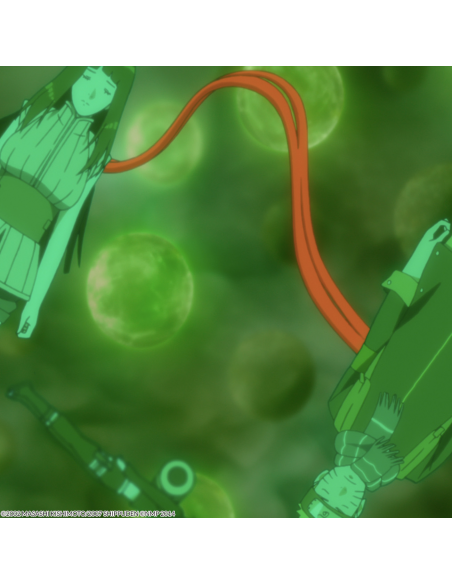 NARUTO LA PELÍCULA 10. Película 7. El final