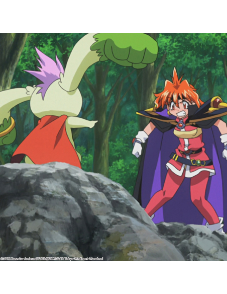 SLAYERS EDICIÓN DELUXE