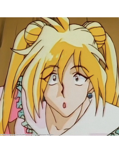 SLAYERS EDICIÓN DELUXE