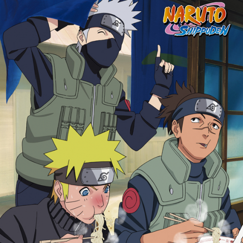 Naruto Shippuden Box 11