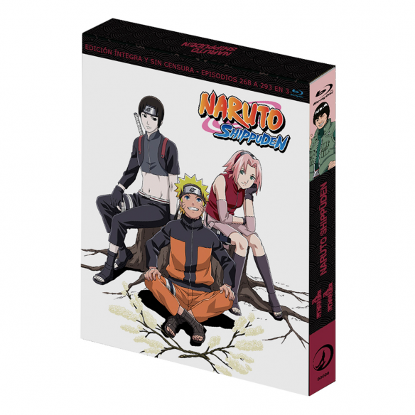 Naruto Shippuden Box 11