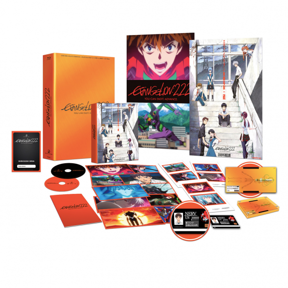 EVANGELION 2.22 YOU CAN (NOT) ADVANCE