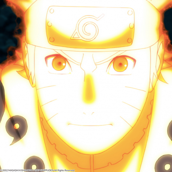 Naruto Shippuden Box 11