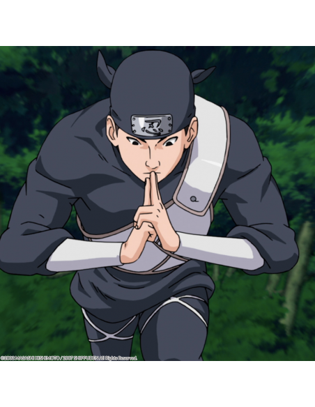 Naruto Shippuden Box 11