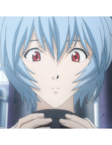 EVANGELION 2.22 YOU CAN (NOT) ADVANCE