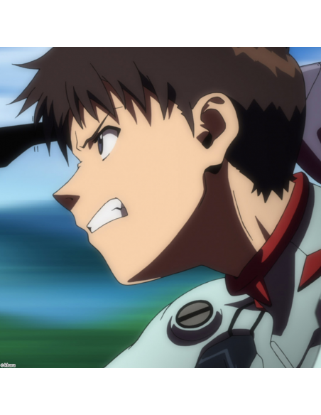 EVANGELION 2.22 YOU CAN (NOT) ADVANCE