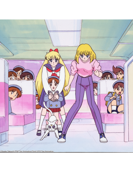 SAILOR MOON R TEMPORADA 2 episodios 1 a 43 (47 a 89)