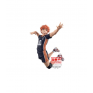 Haikyu!! - Haikyu!! Posing - Shoyo Hinata