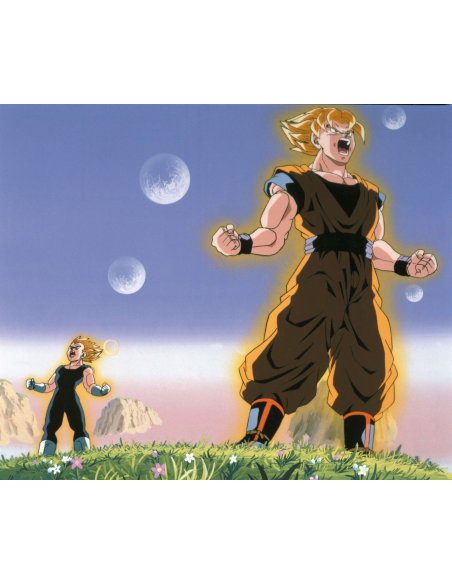 DRAGON BALL Z BOX 14 BLURAY episodios 271 a 291