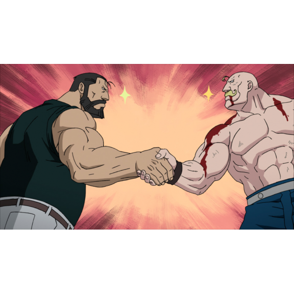 Suscripción Fullmetal Alchemist...