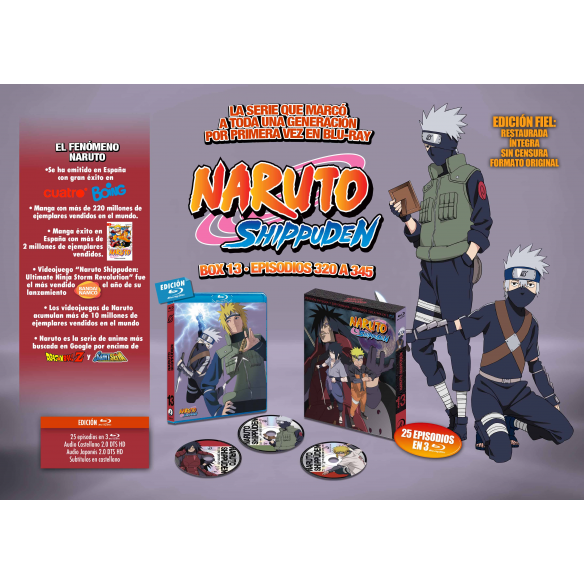 Naruto shippuden box 13