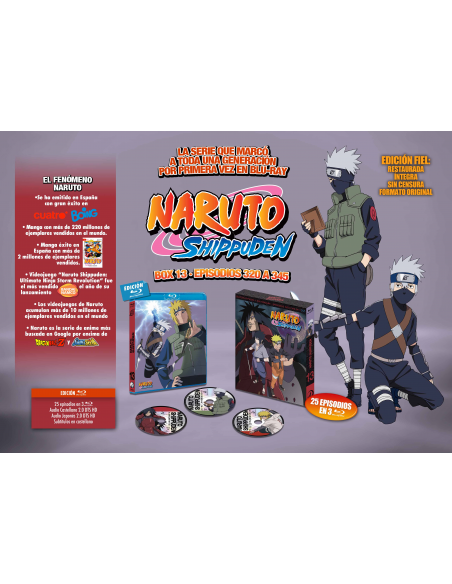 Naruto shippuden box 13