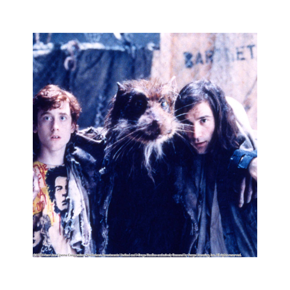 Teenage Mutant Ninja Turtles. EDICIÓN...