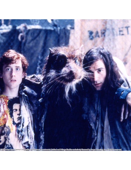 Teenage Mutant Ninja Turtles. EDICIÓN COWABUNGA Bluray (segunda edición)