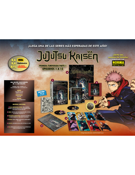 Jujutsu Kaisen Temporada 1 Parte 1 Episodios del 1 al 12