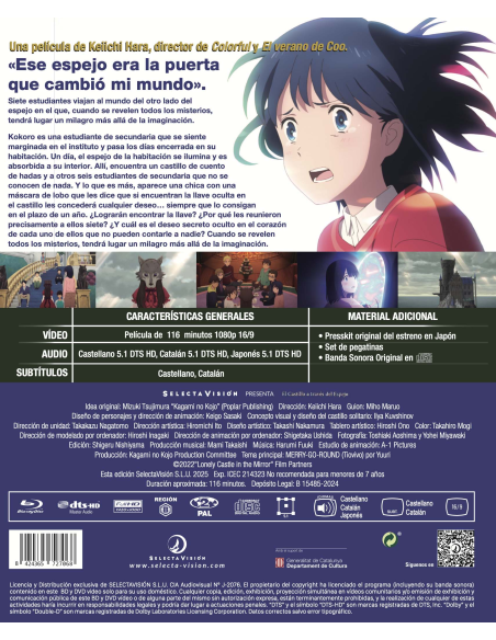 El castillo a través del espejo