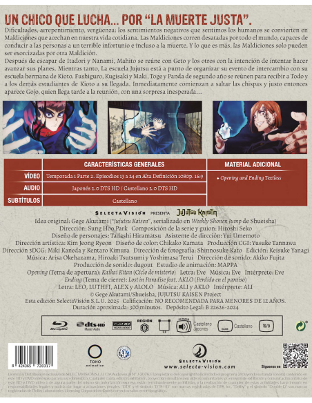 Jujutsu Kaisen Temporada 1 parte 2 episodios 13 a 24