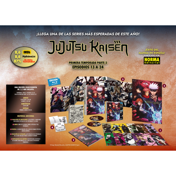 Jujutsu Kaisen Temporada 1 parte 2...