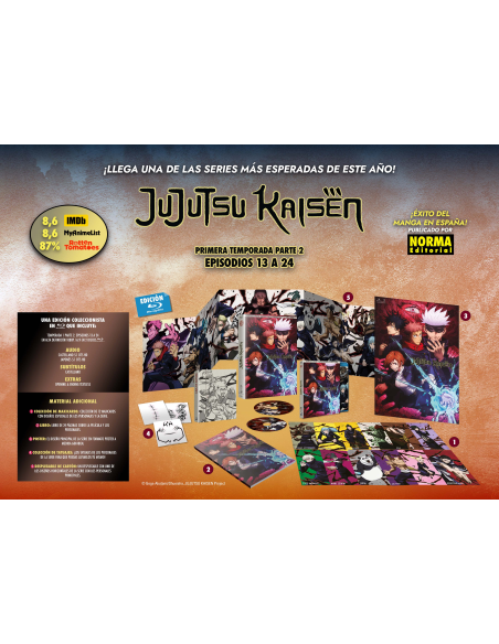 Jujutsu Kaisen Temporada 1 parte 2 episodios 13 a 24