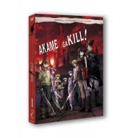 Akame Ga Kill Episodios 1 A 12 Dvd