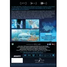 Los NiÑos Del Mar Dvd