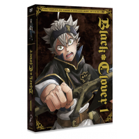 Black Clover Dvd Episodios 1 A 13 (saga Completa Del...